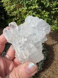 Apophyllite Specimen - AY7