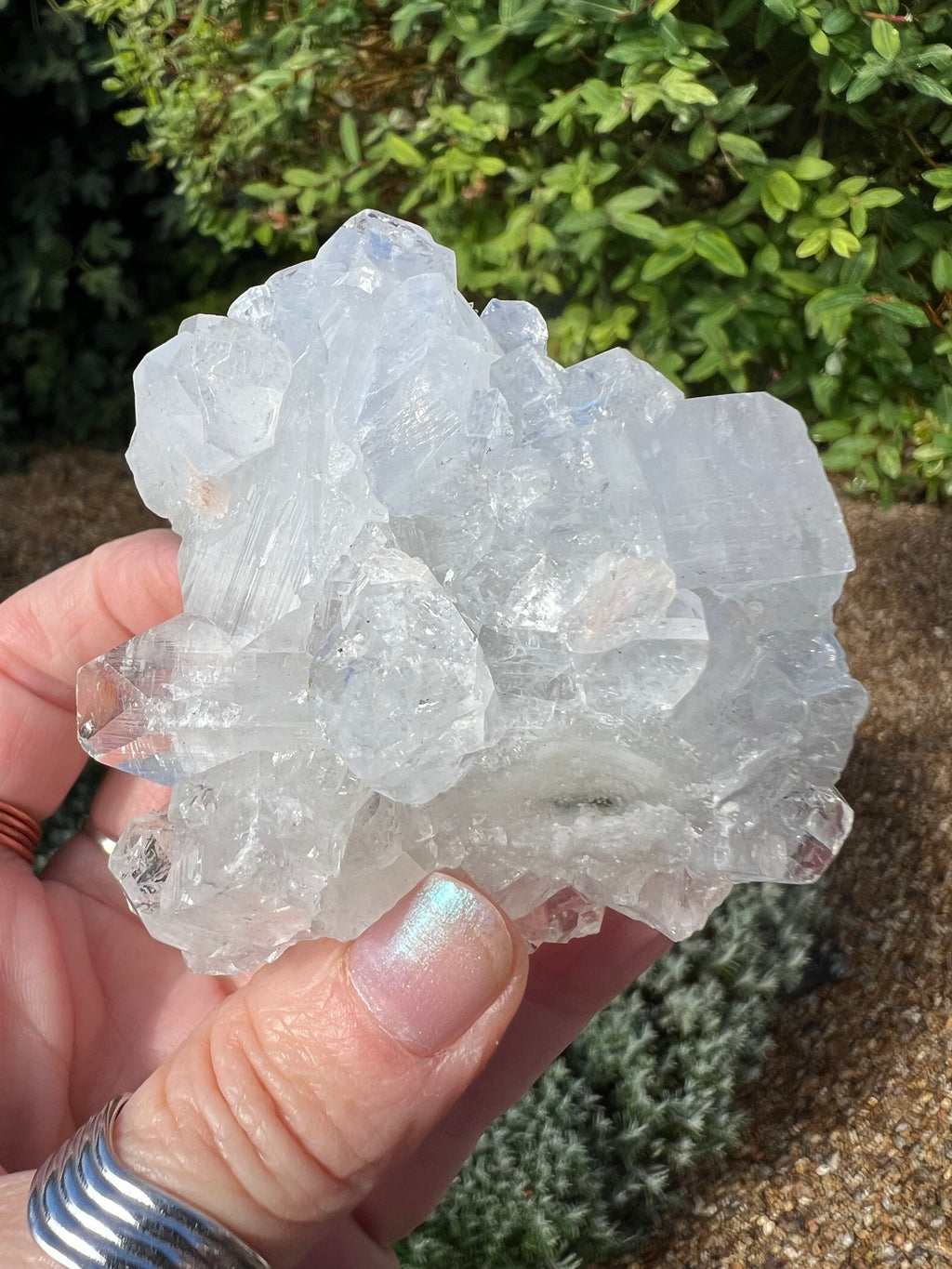 Apophyllite Specimen - AY7
