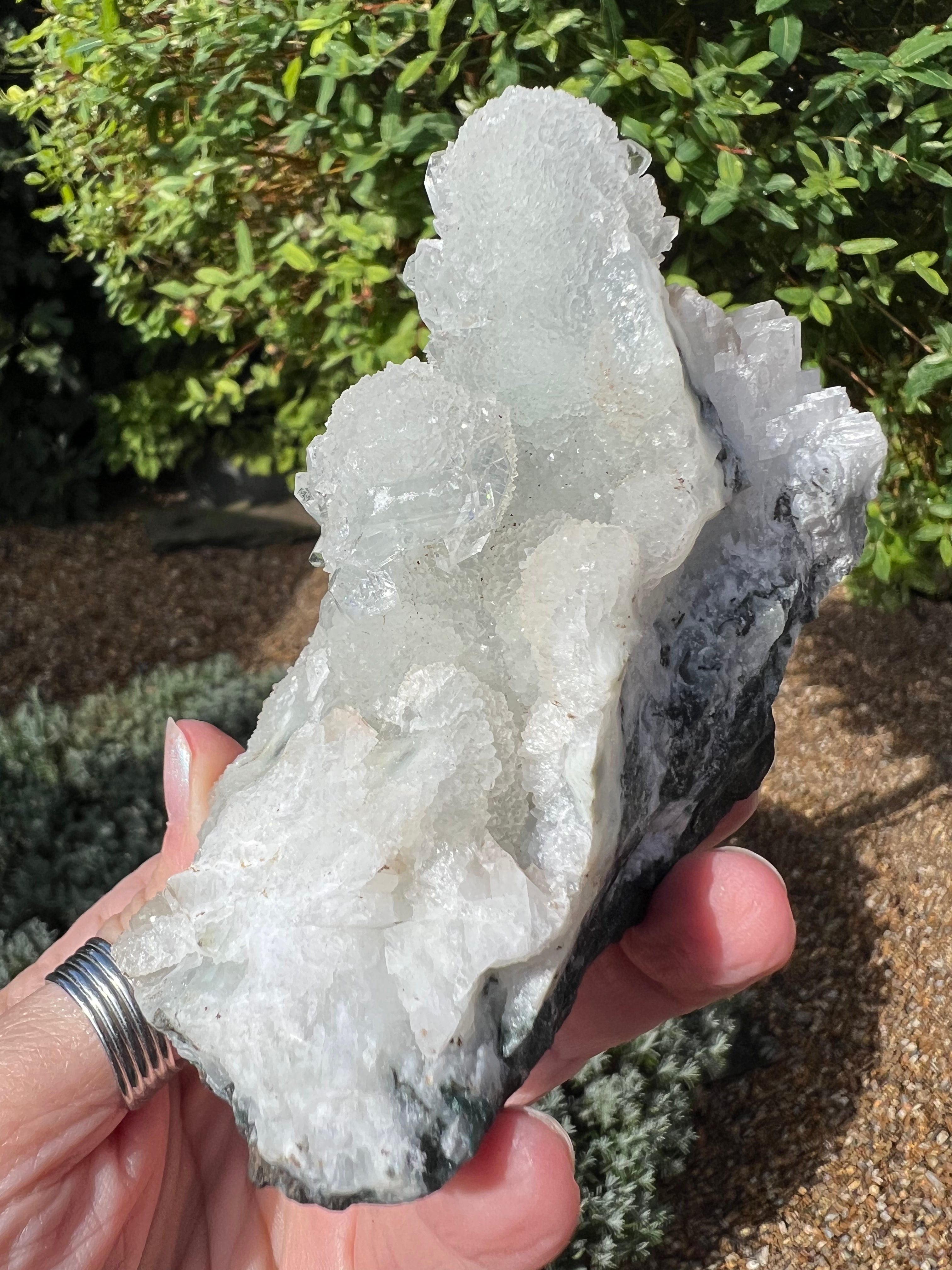 Apophyllite Specimen - AY12