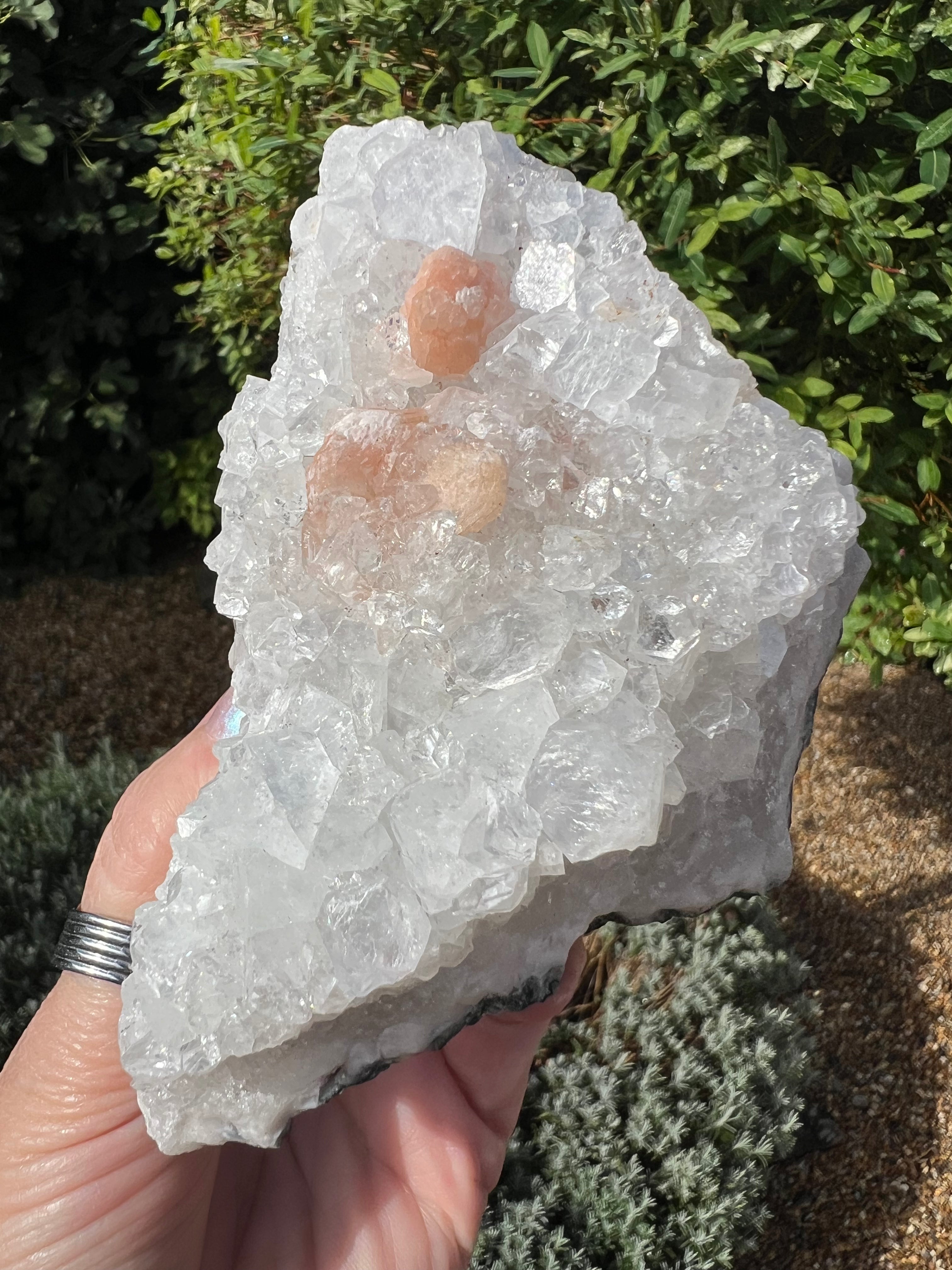 Apophyllite w/ Stilbite Specimen - AY13