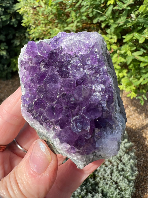 Amethyst Crystal Druze (1st Grade) - AM44
