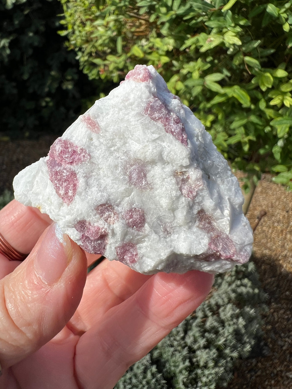 Pink Tourmaline in Matrix - PT4