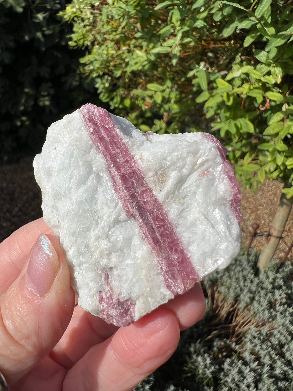 Pink Tourmaline in Matrix - PT5